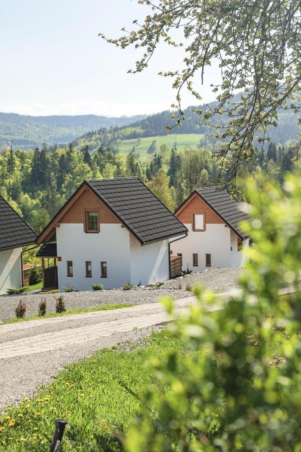 Chalet W Gorach 