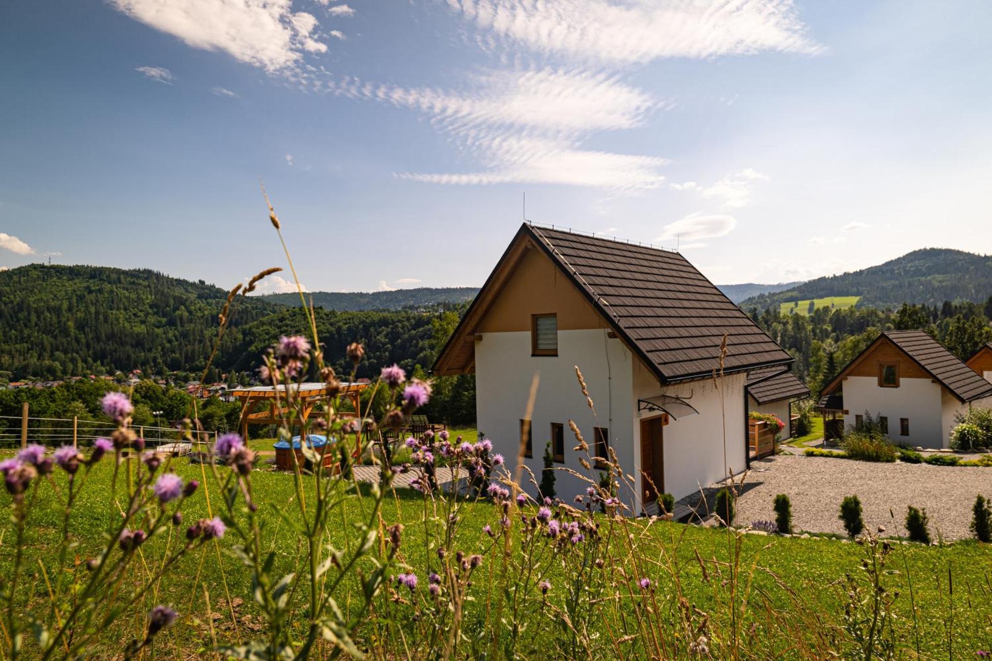 Chalet W Gorach 